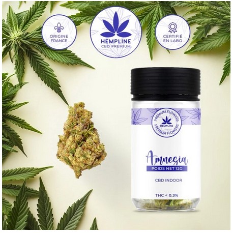 Amnésia CBD Kwiat (12g) - Hempline